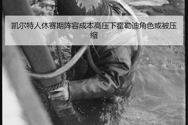 凯尔特人休赛期阵容成本高压下霍勒迪角色或被压缩