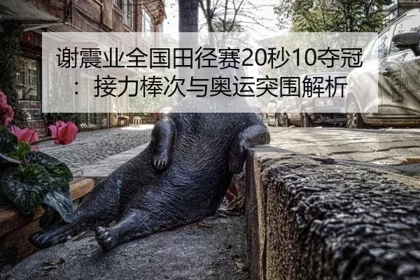 谢震业全国田径赛20秒10夺冠：接力棒次与奥运突围解析